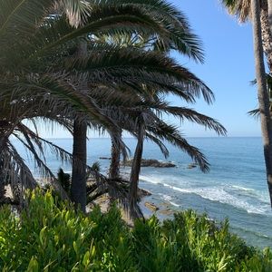 Meet your Posher, Clayton